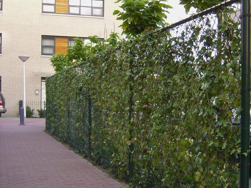Gaashekwerk met begroeing
